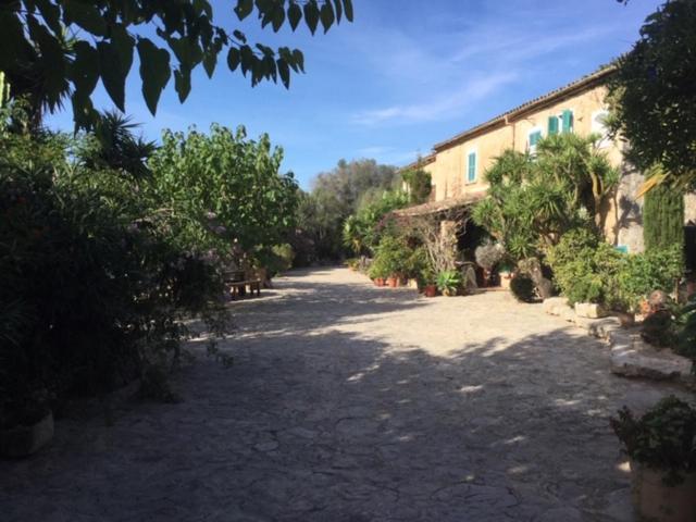Appart hôtel Duvai Mallorca Cala Millor (Mallorca)